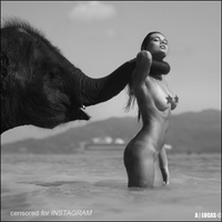 Ð¤Ð¾ÑÐ¾Ð³ÑÐ°ÑÐ¸Ð¸ Ð½Ð° ÑÑÐµÐ½Ðµ ÐÐ½Ð´ÑÐµÑ_193-hGWUkMbFKt0NlQxiMtJRpYimejmydkMW.jpg